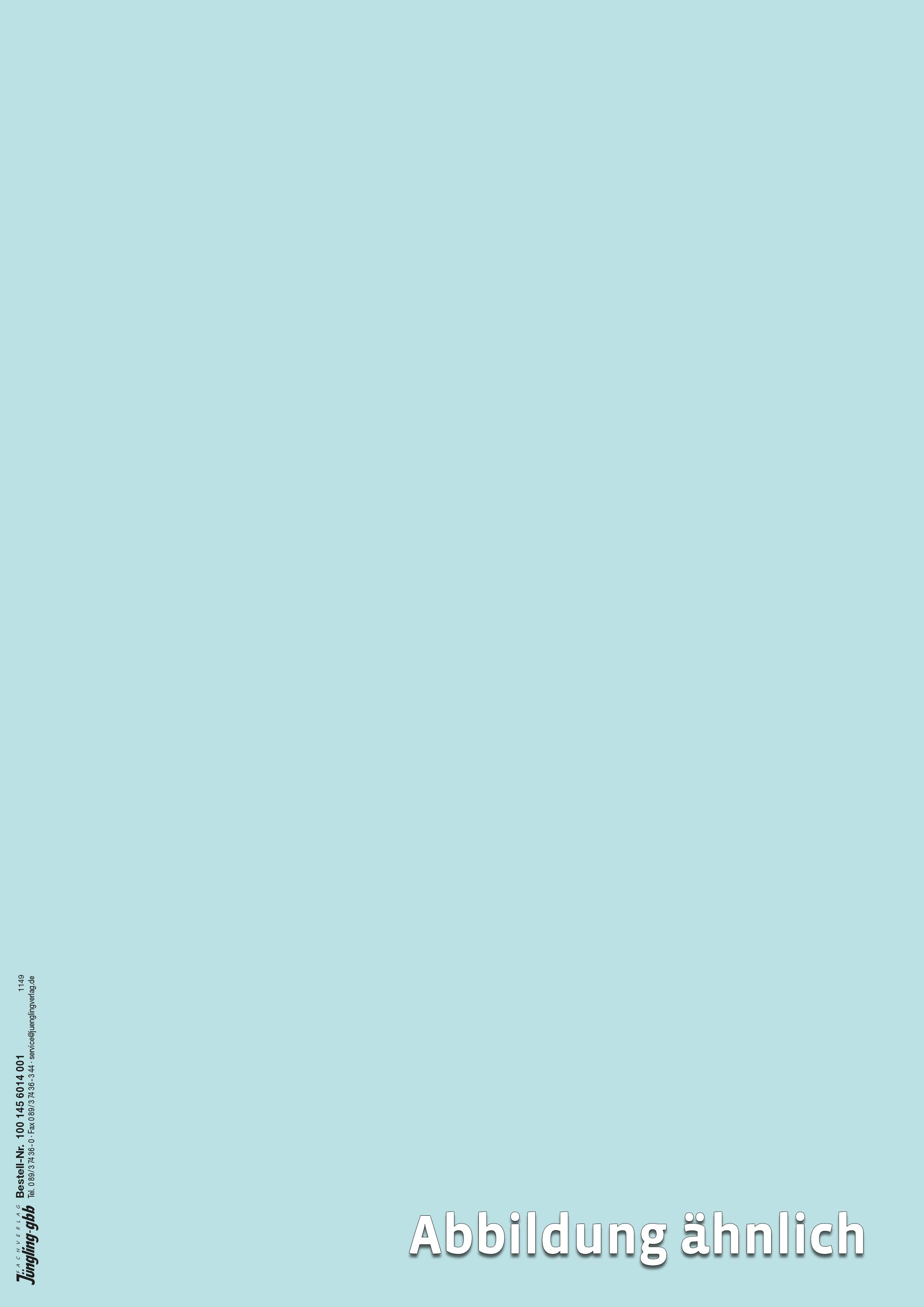 Blanko-Papier für EU-Lizenzen, A4, Pantone hellblau 290c