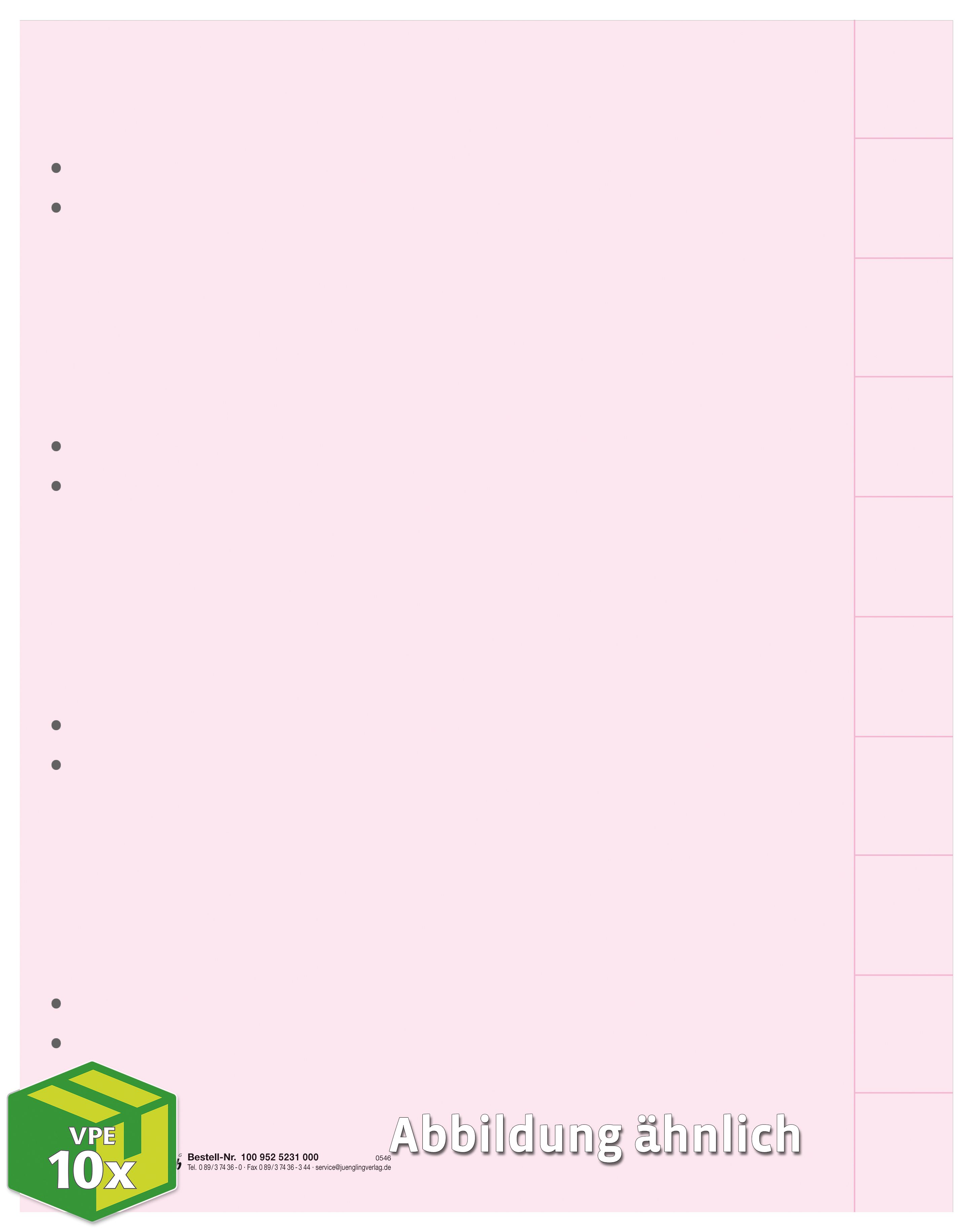 Register, 10-teilig, rosa, DIN A4, Karton
