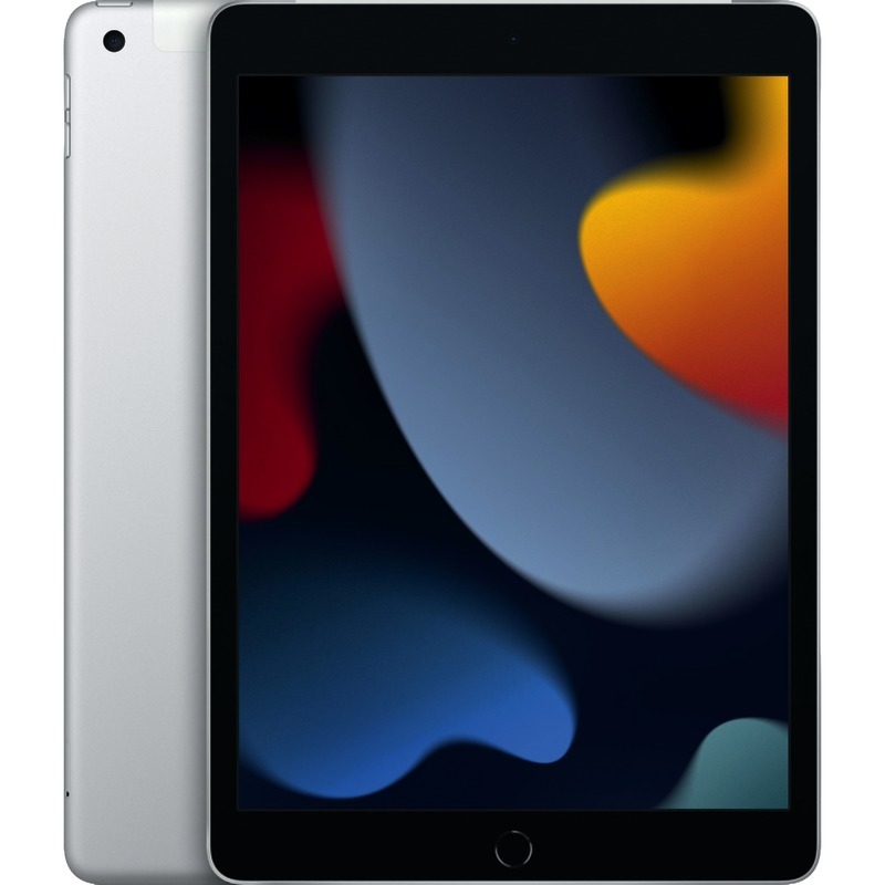 Apple iPad 10, 2 Wi-Fi + Cellular 256 GB (9. Generation) - silber