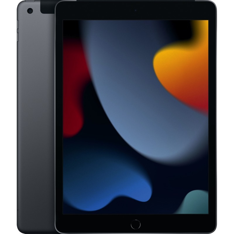 Apple iPad 10, 2 Wi-Fi + Cellular 256 GB (9. Generation) - grau