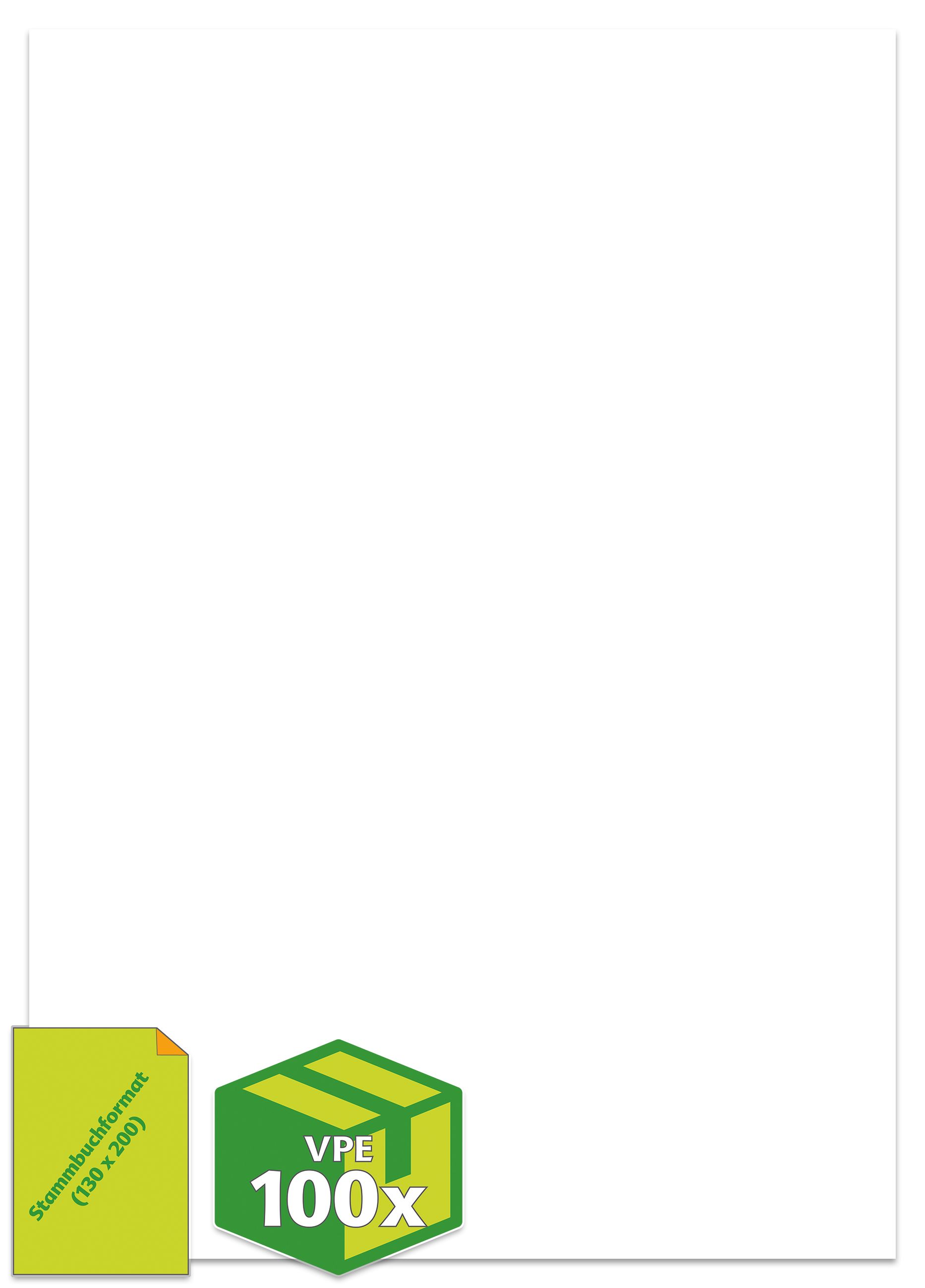 Papier im Stammbuchformat, 100 g, 130 x 200 mm, ungelocht, 1 VPE = 100 Stück