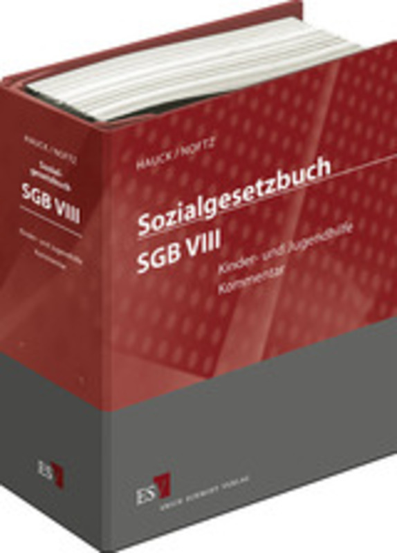 Sozialgesetzbuch (SGB) VIII: Kinder- und Jugendhilfe - ohne Fortsetzungsbezug