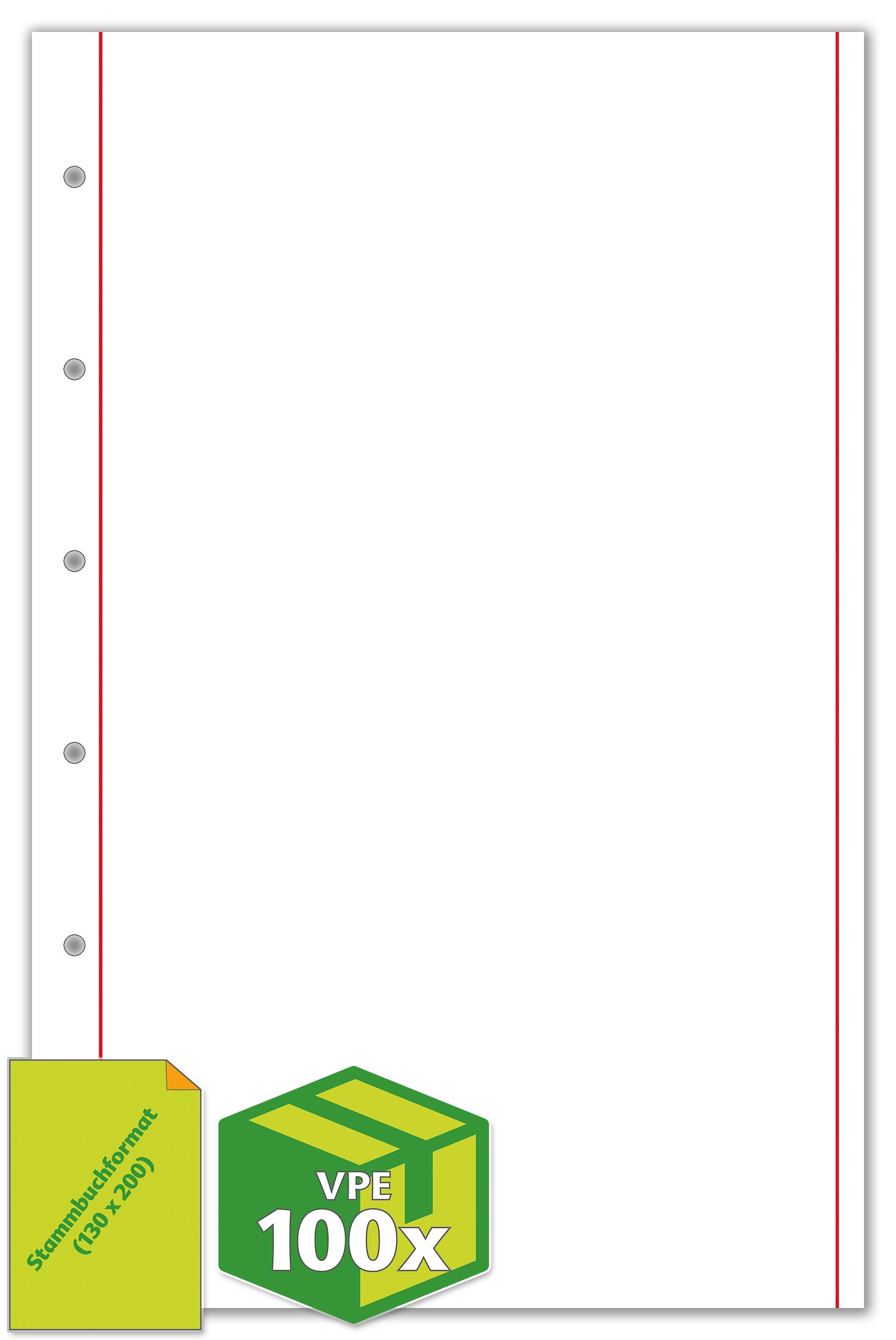 Papier im Stammbuchformat mit Schmuckrand, 100 g, 130 x 200 mm, 6-Ring-Lochung, 100 Blatt