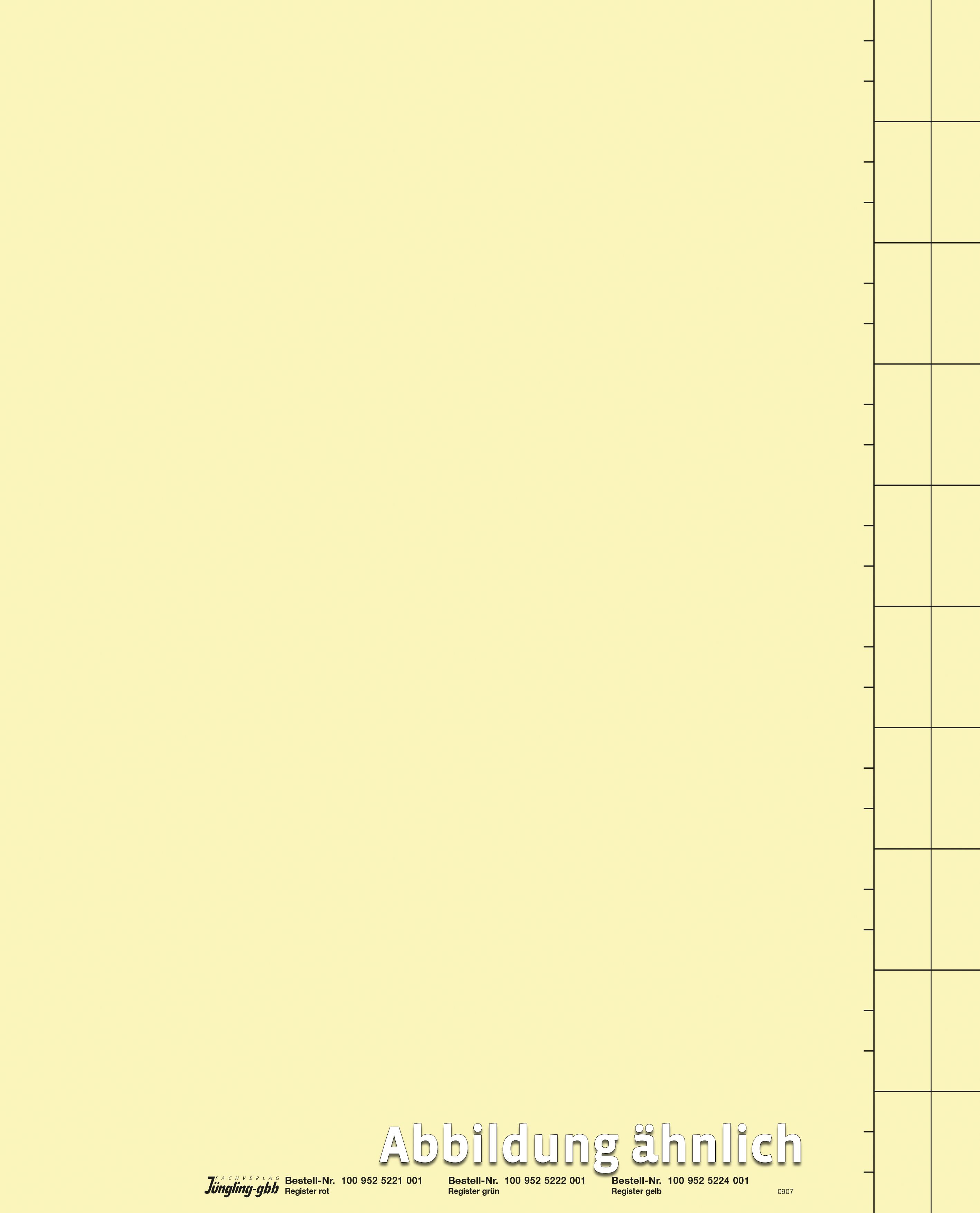 Registerblatt, gelb, DIN A4, Karton Registerblatt, gelb, DIN A4, Karton