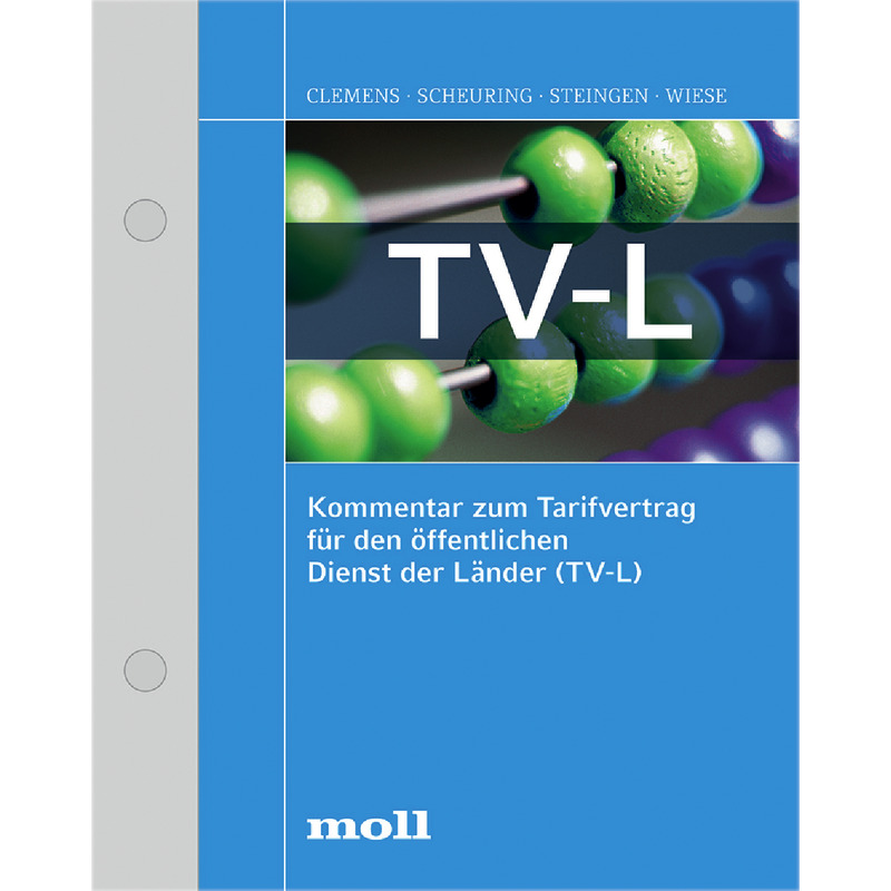 Kommentar zum TV-L - mit Fortsetzungsbezug