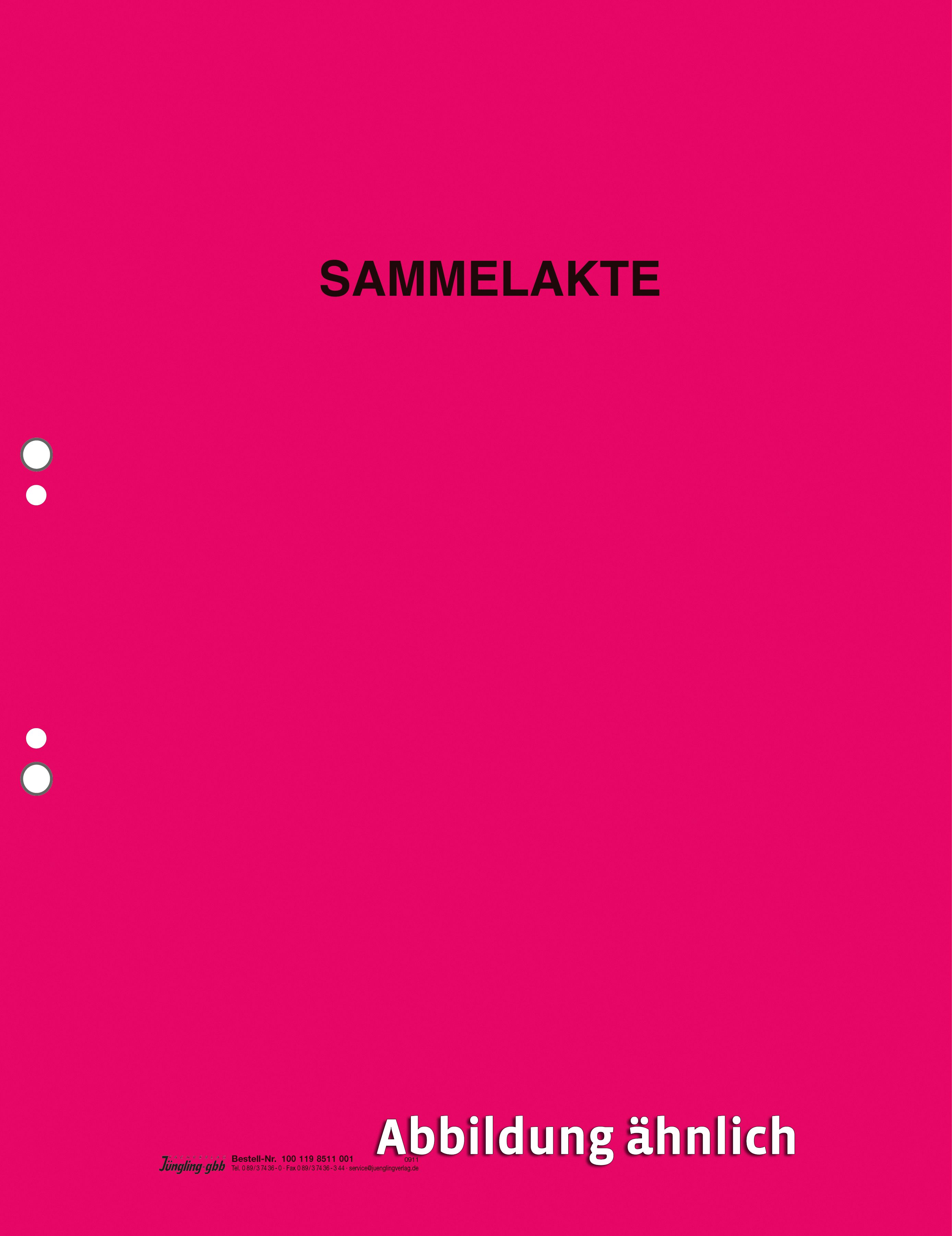 Sammelakten zum Geburtenregister, Eheregister, Sterberegister, rot Sammelakten zum Geburtenregister, Eheregister, Sterberegister, rot