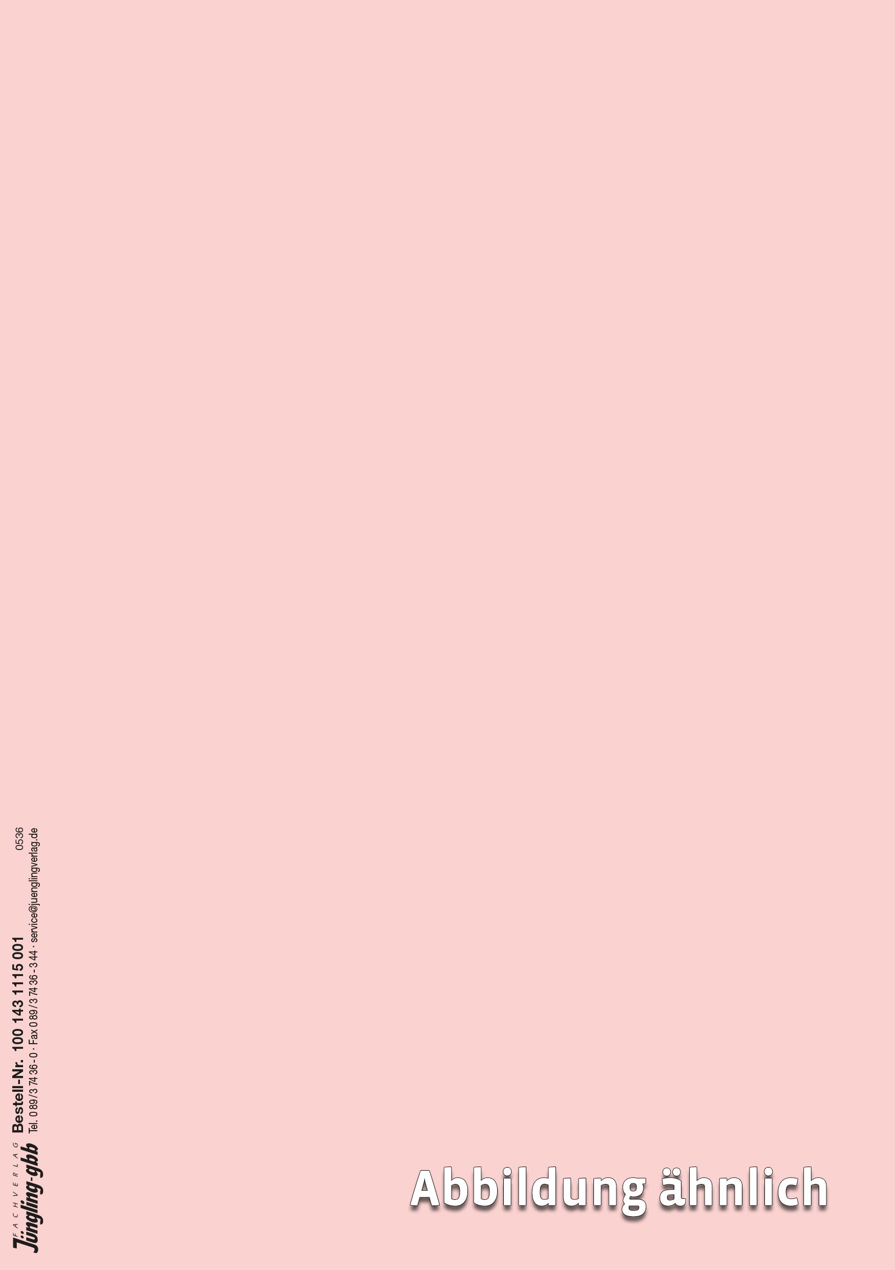 Prüfungsbescheinigung Modellprojekt AM mit 15 Jahren, A5, rosa