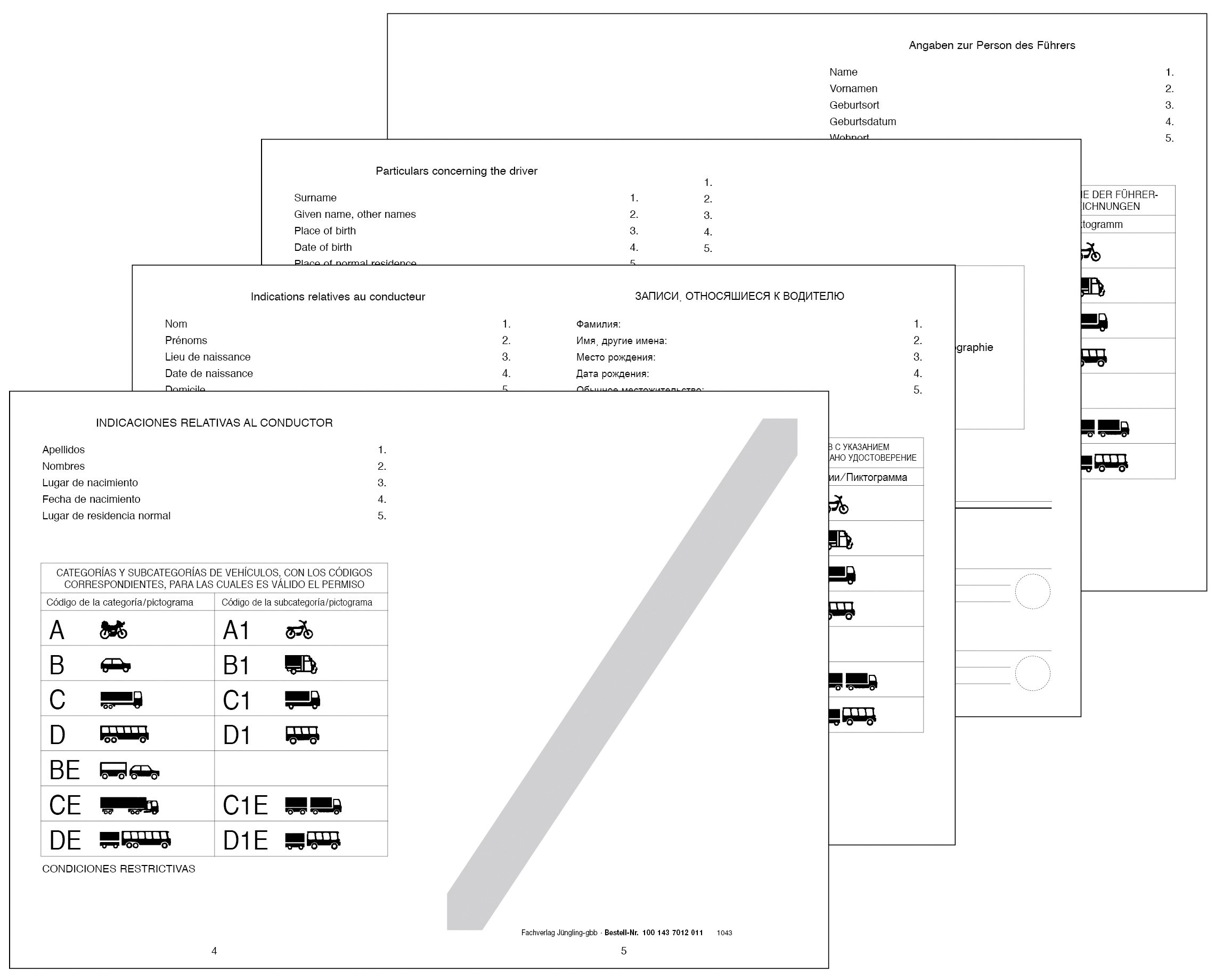 Einlageblätter Internationaler Führerschein, lose