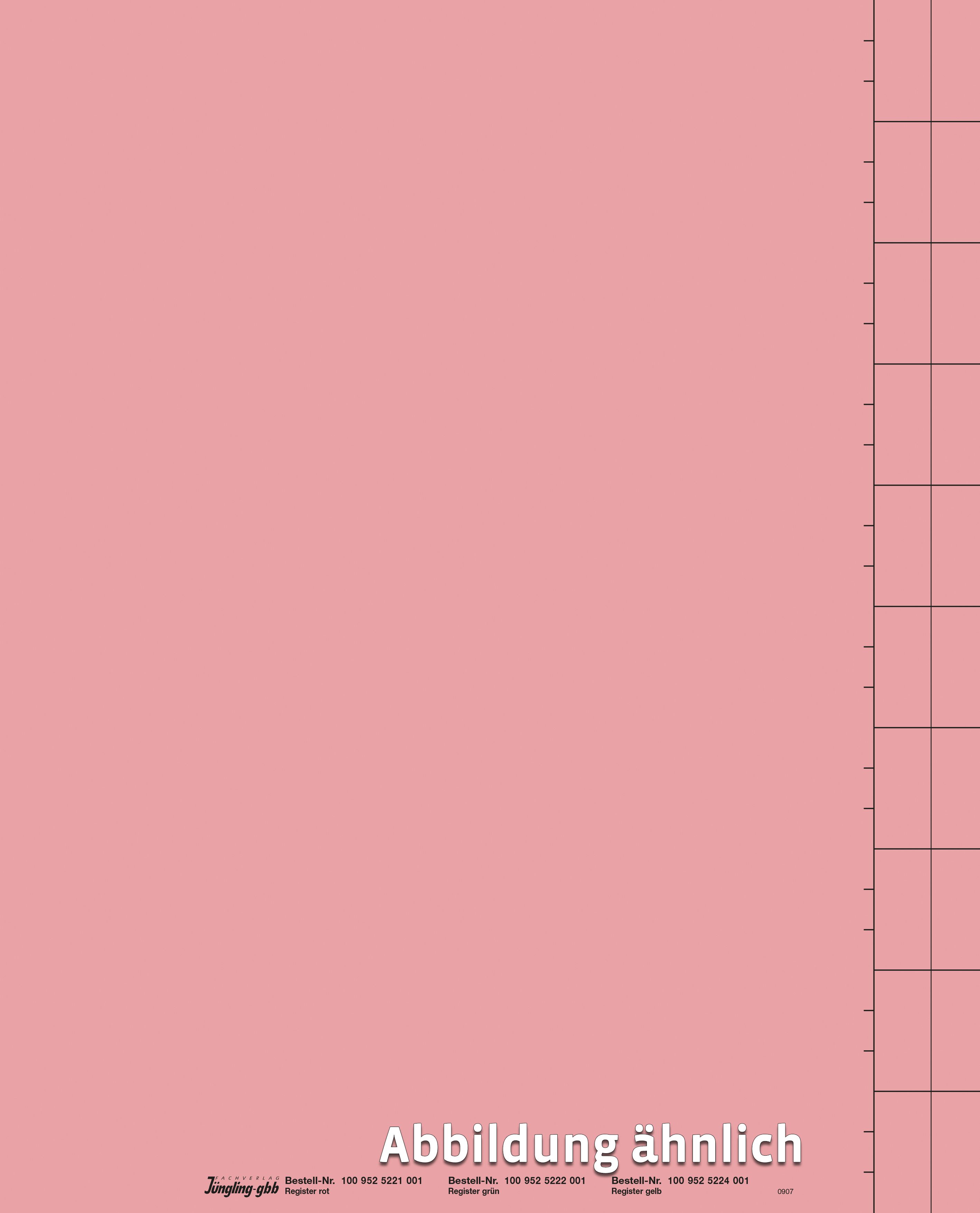 Registerblatt, rosa, DIN A4 Registerblatt, rosa, DIN A4