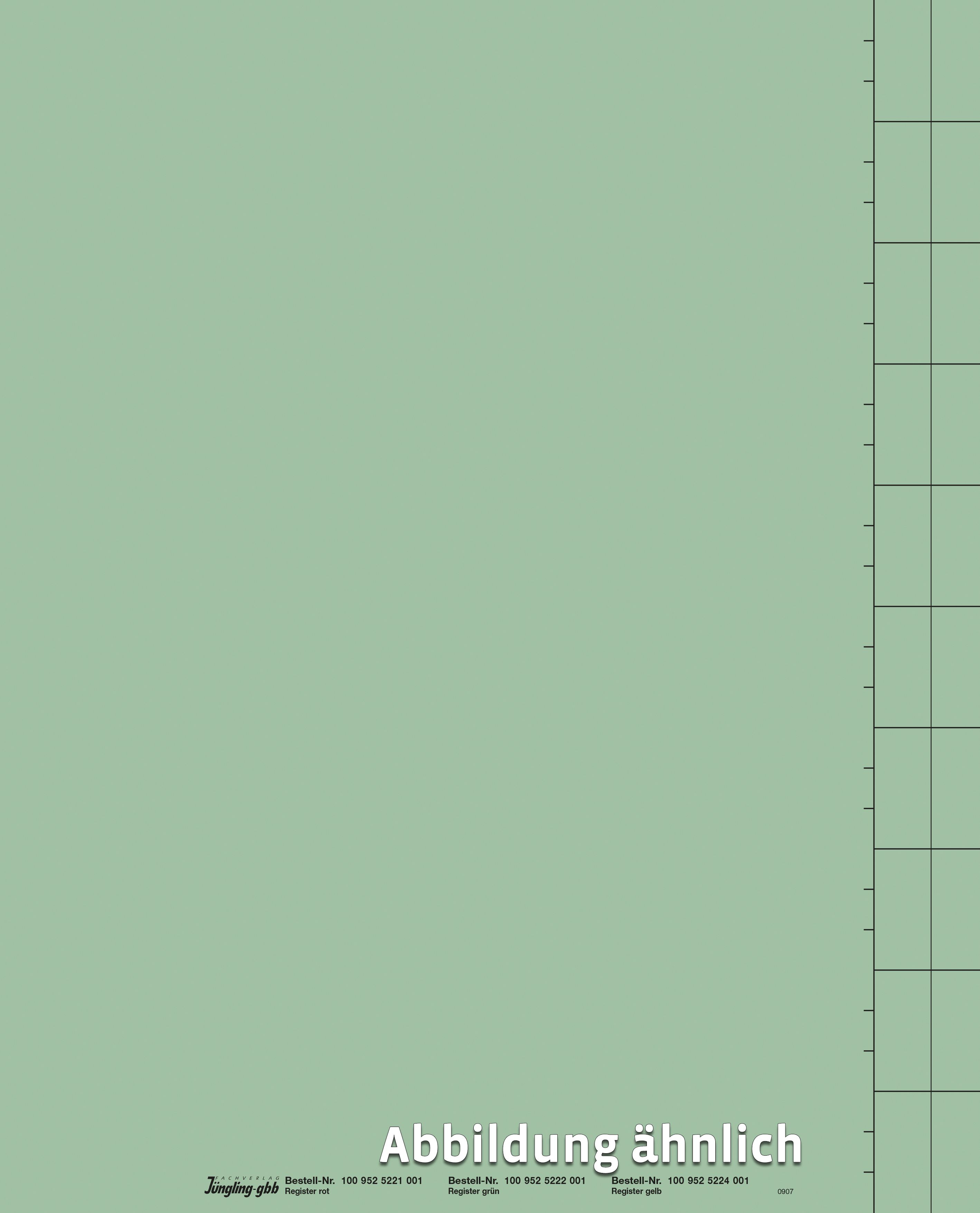 Registerblatt grün, DIN A4, Karton
