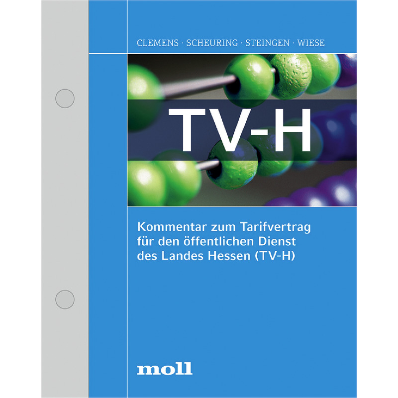 Kommentar zum Tarifvertrag für den öffentlichen Dienst des Landes Hessen (TV-H) - mit Fortsetzungsbezug