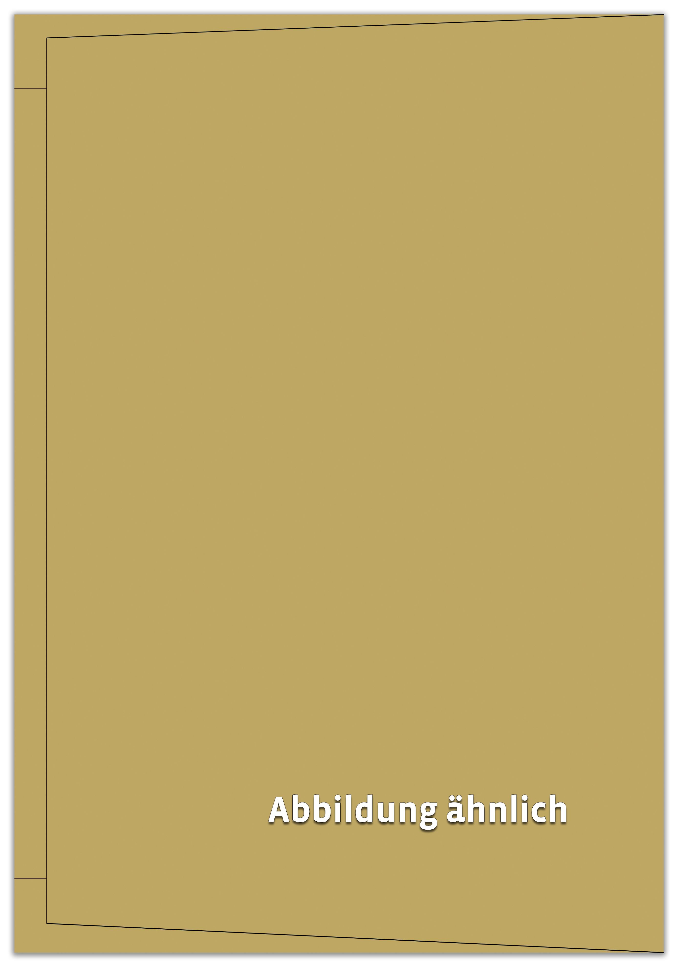 Bußgeldtasche, unbedruckt, 225 x 325 mm Bußgeldtasche, unbedruckt, 225 x 325 mm