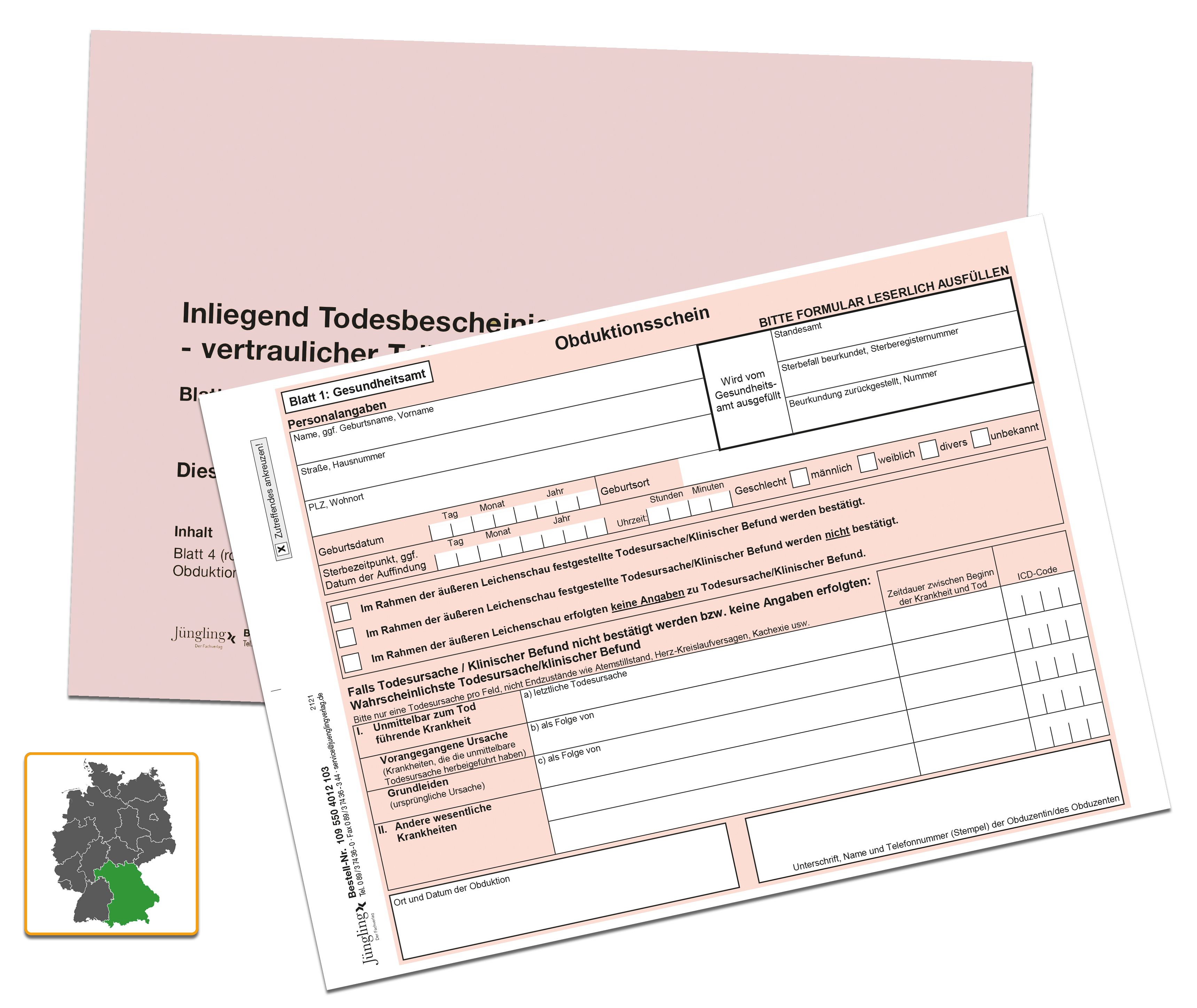 Set Obduktionsschein, A5, 3-fach, einschließlich Kuvert (2025)