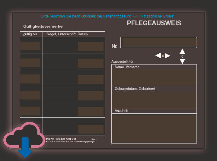 Ausfüllhilfe *Pflegeausweis*, PDF