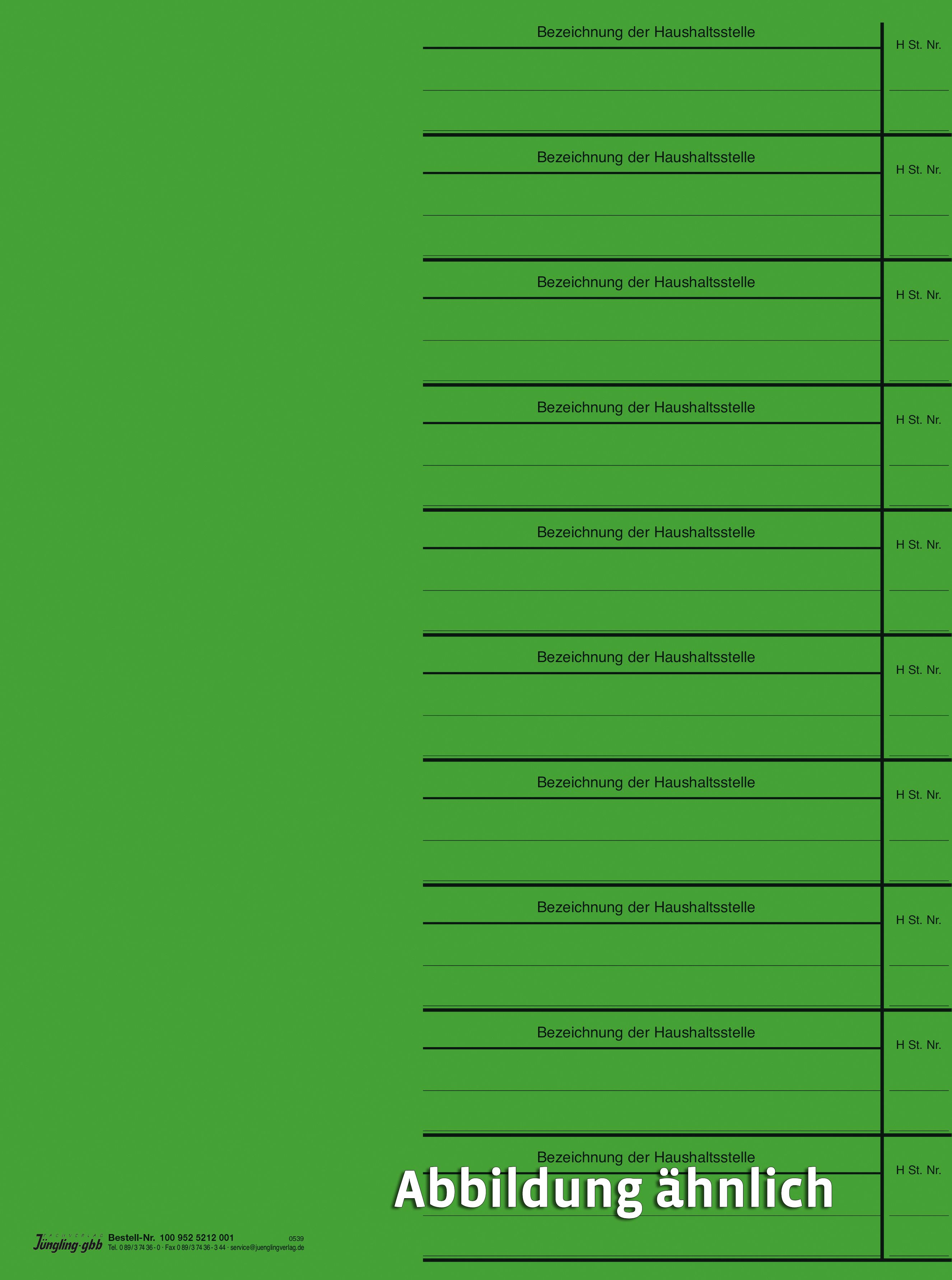 Registerblatt für Haushaltsstellen, grün, DIN A4 Registerblatt für Haushaltsstellen, grün, DIN A4
