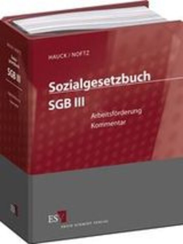 Sozialgesetzbuch (SGB) III: Arbeitsförderung - mit Fortsetzungsbezug