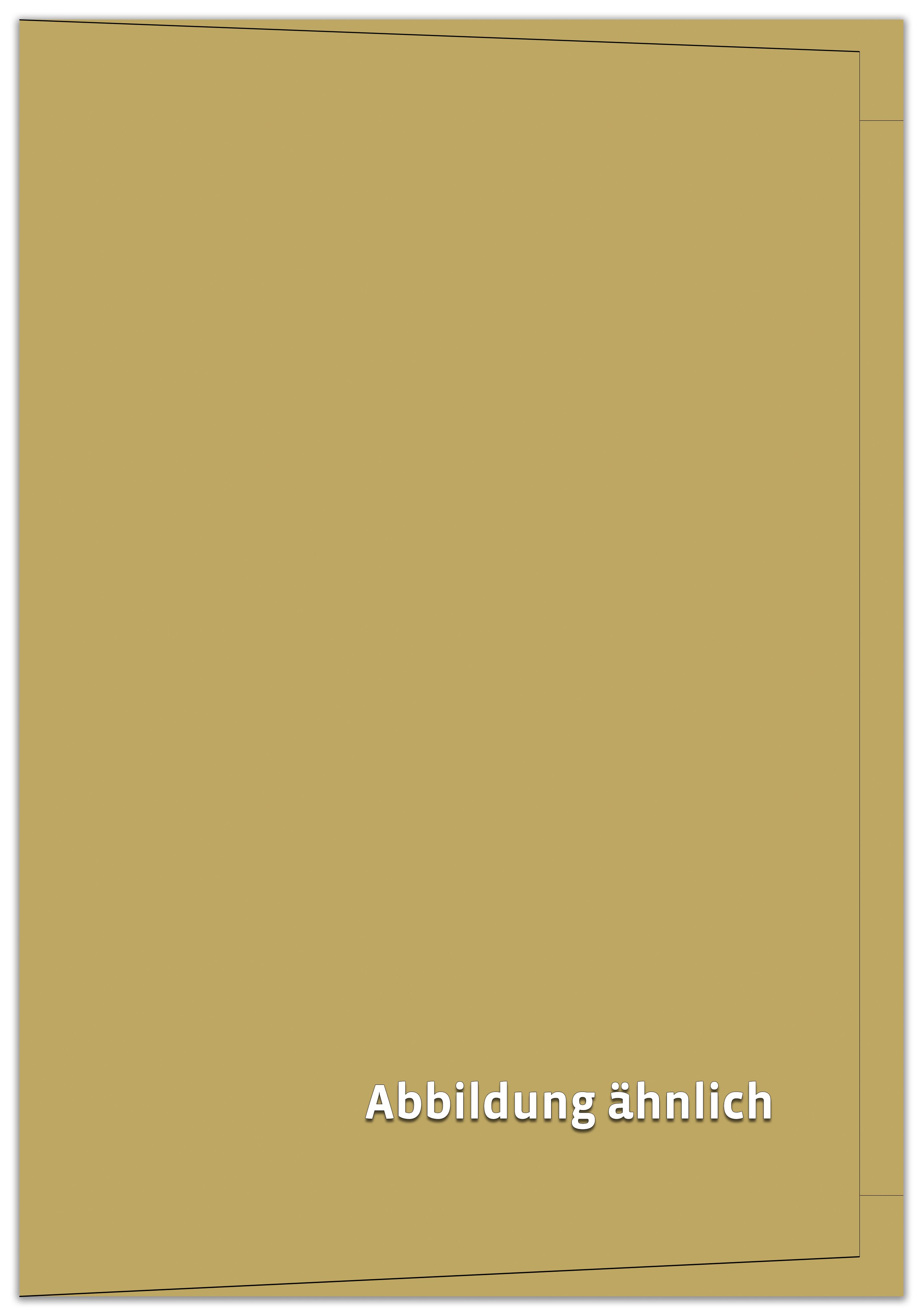 Bußgeldtasche, unbedruckt, 225 x 315 mm Bußgeldtasche, unbedruckt, 225 x 315 mm