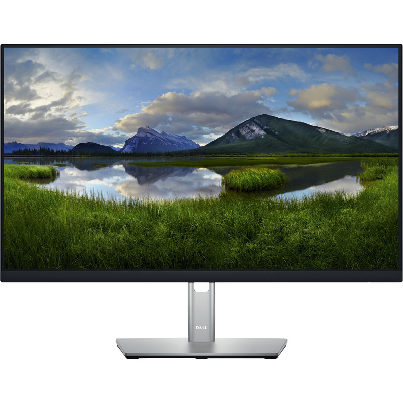 DELL LED-Monitor P2422H, 60, 45 cm/23, 8