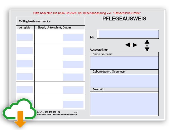 Ausfüllhilfe *Pflegeausweis*, PDF