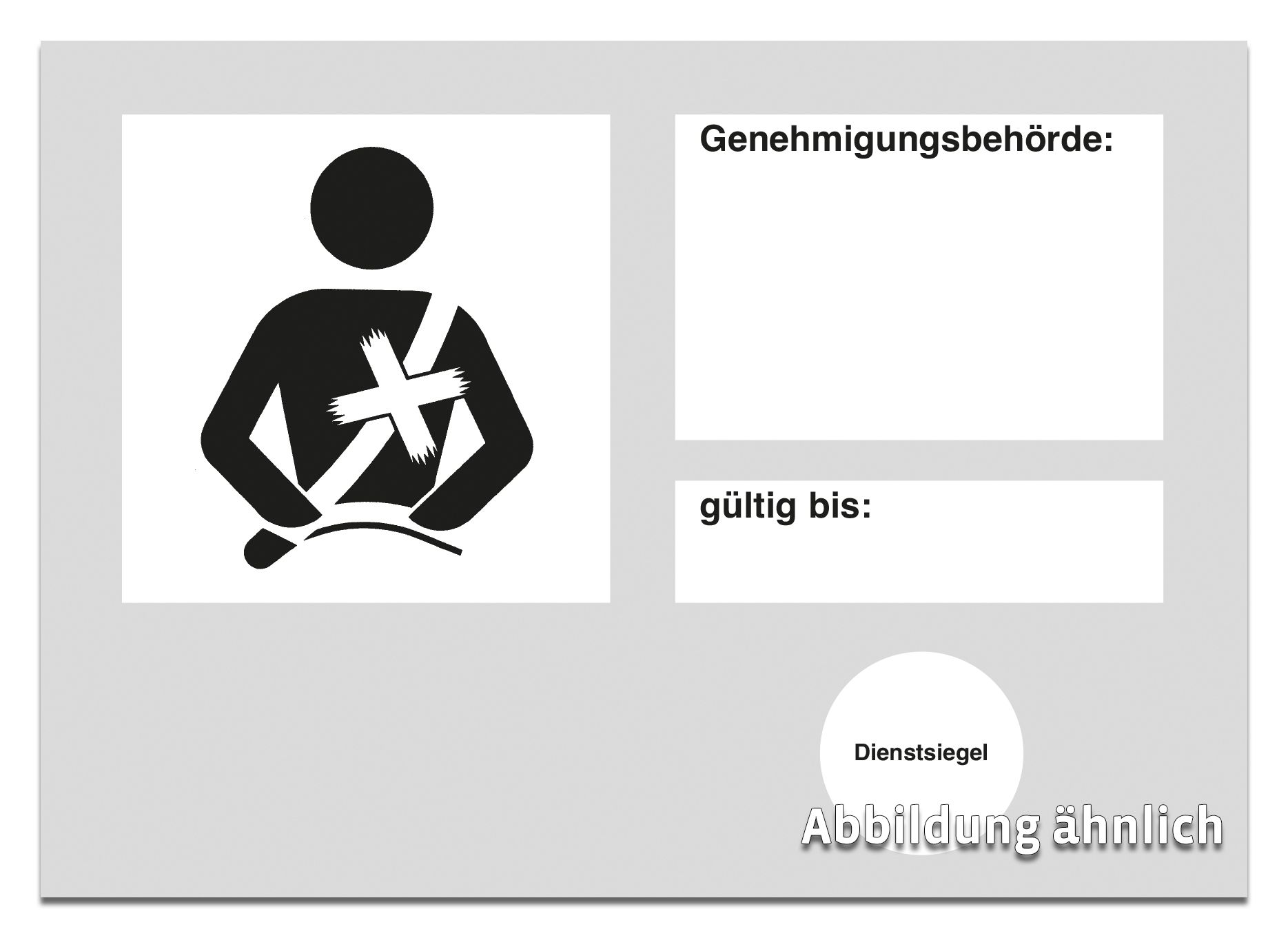 Ausweis Befreiung Gurtpflicht, A6, weiß Ausweis Befreiung Gurtpflicht, A6, weiß