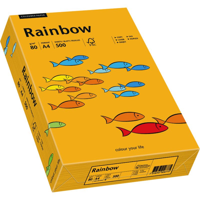 PAPYRUS  Kopierpapier Rainbow COLOURED PAPER, DIN A4, 80 g/m², Pack: 500 Blatt - orange