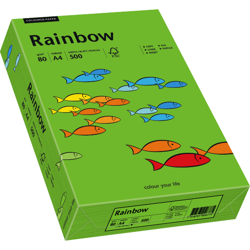 PAPYRUS  Kopierpapier Rainbow COLOURED PAPER, DIN A4, 80 g/m², Pack: 500 Blatt - grün