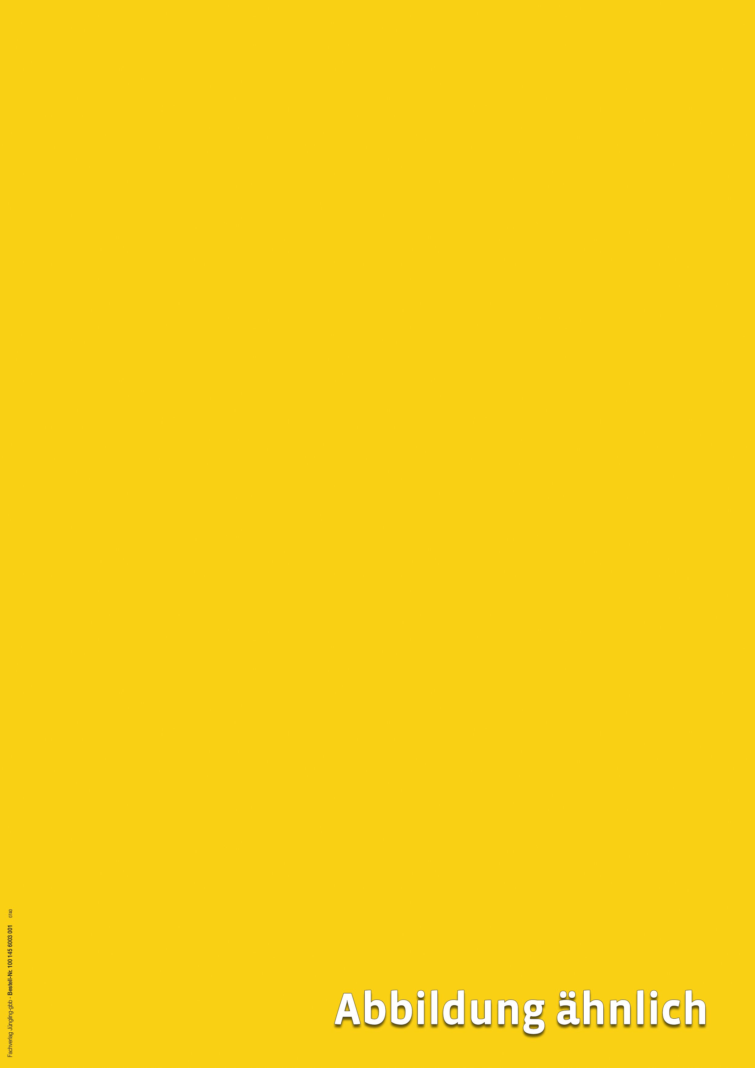 Erlaubnisurkunde, blanko, goldgelb, DIN A4, 80g Erlaubnisurkunde, blanko, goldgelb, DIN A4, 80g