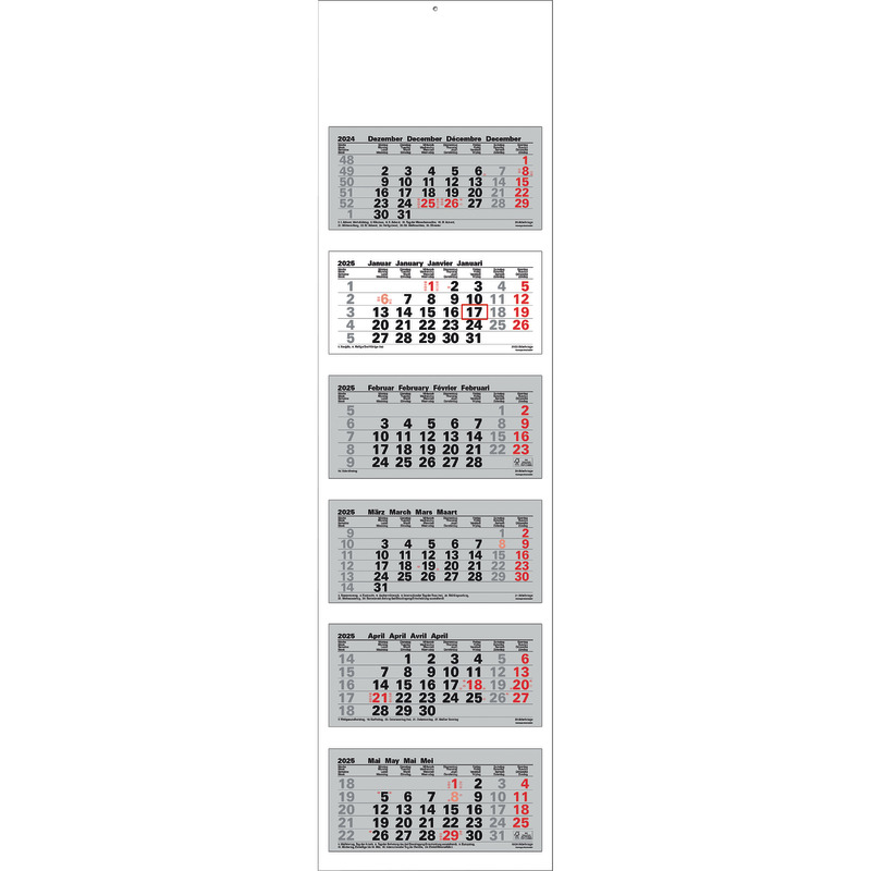 SoldanPlus Sechs-Monats-Wandkalender 2025